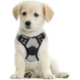 thumbnail image 1 of Rabbitgoo Arnés para Perros, Arnés para Mascotas Sin Tirones con 2 Clips para Correa, Chaleco Acolchado Suave Ajustable para Perros, Chaleco Oxford Reflectante para Mascotas sin Estrangulamiento con M, 1 of 4