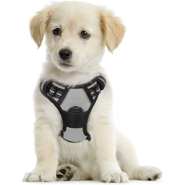 Rabbitgoo Arnés para Perros, Arnés para Mascotas Sin Tirones con 2 Clips para Correa, Chaleco Acolchado Suave Ajustable para Perros, Chaleco Oxford Reflectante para Mascotas sin Estrangulamiento con M