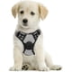 thumbnail image 1 of Rabbitgoo Arnés para Perros, Arnés para Mascotas sin Tirones con 2 Clips para Correa, Chaleco para Perros Acolchado Suave y Ajustable, Chaleco Oxford Reflectante para Mascotas sin asfixia con asa de f, 1 of 4