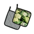 thumbnail image 2 of Carolines Treasures GAK1019PTHD Cauliflower by Gary Kwiatek Pair of Pot Holders 7.5HX7.5W multicolor, 2 of 2