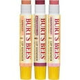 Burt's Bees Kissable Color Holiday Gift Set, 3 Lip Shimmers in Gift Box
