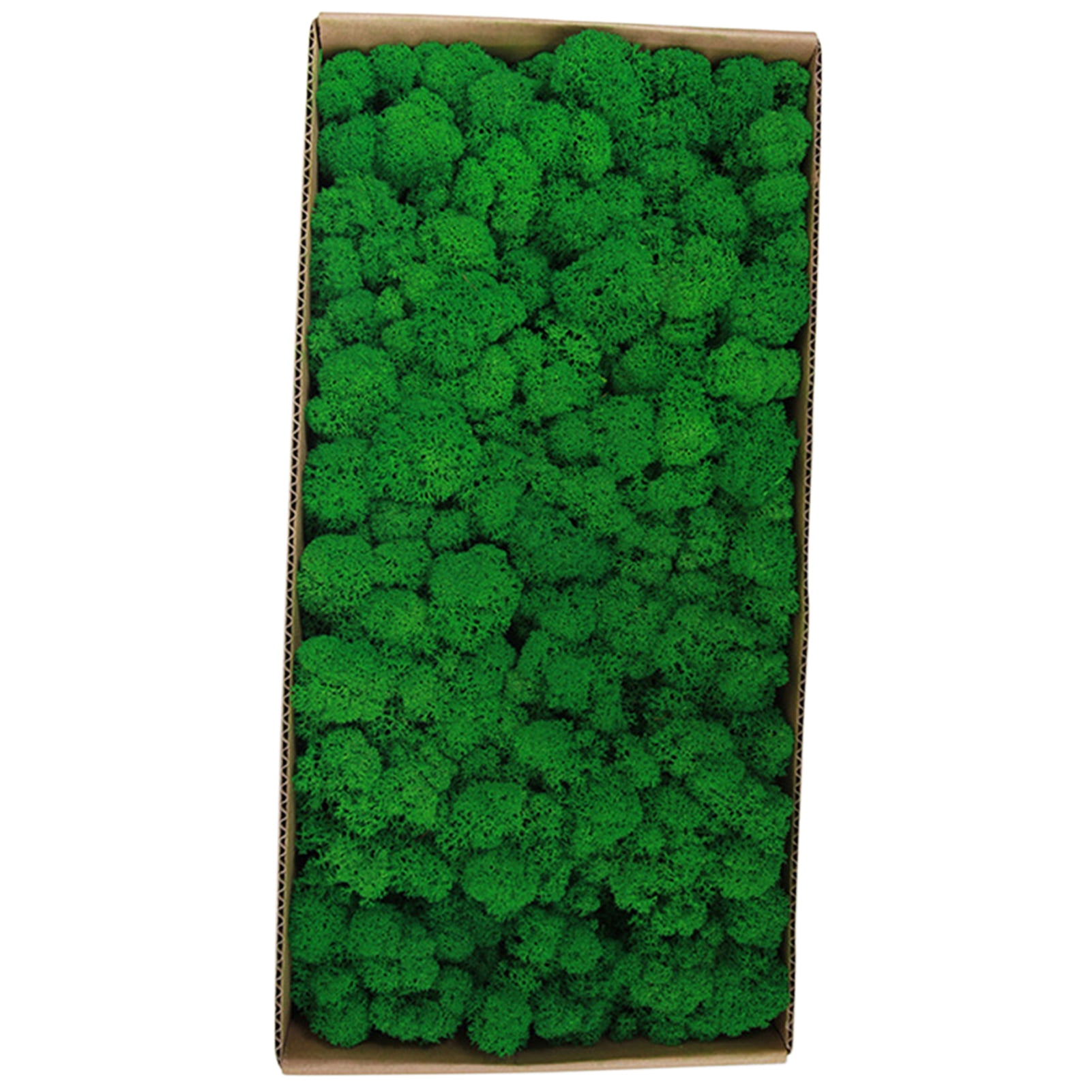 Widget,Wall Decor Real Festivals Indoor Office Moss No Maintenance Party Festivals Indoor Decor Real Preserved Indoor Office Decoration No Maintenance Required Wall Party Festivals Siuke