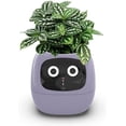 thumbnail image 2 of Smart Flowerpots,Smart Pet Planter,Ai Planter,Intelligent Flowerpots,Multiple Expressions,7 Smart Sensors, and Ai Chips Make Raising Plants Easy and Fun for Living Room,Plant-Free(Purple), 2 of 9