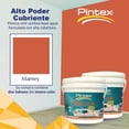 thumbnail image 2 of PINTEX Kit Pinta-me 2 Galones Pintura Vinil-Acrílica 3.8 L c/u | Incluye Brocha, Rodillo, Felpas, Masking Tape y Plastiprotector | Acabado Mate | Interiores y Exteriores | Mamey, 2 of 5