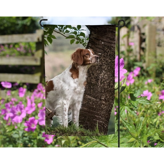 Brittany Spaniel Garden Flag