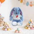 thumbnail image 5 of Free Express Easter Bunny Plush Stuffed Animal with Removable Heart Knit Sweater Soft Fluffy Rabbit Toy for Spring Home Decor Easter Gift and Playtime, 5 of 6