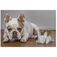 thumbnail image 4 of Ceramic French Bulldog Shaped Succulent Planter Unique Animal Design Decorative Pot for Indoor Outdoor Plants Desk Home Office Use, 4 of 4