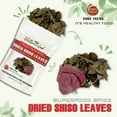 thumbnail image 6 of DRIED SHISO LEAVES 1.76 Oz (50g) VIETFARMFOOD: Pure, natural freeze-dried spice made from real vegetables and fruits - perfect for enhancing every meal, from cooking, baking, salads, soups, sauces, 6 of 7