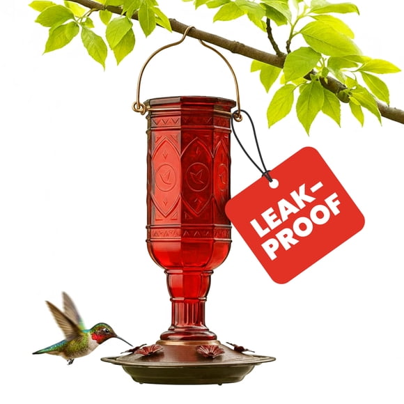 More Birds 76IN Jewel Glass Hummingbird Feeder, Red - 20 oz