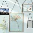 thumbnail image 4 of que Hanging Glass Phot Portrait Plant Holder 14x16cm #B, 4 of 6