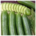 thumbnail image 2 of Everwilde Farms - 1/4 lb Organic Straight Eight Cucumber Seeds - Gold Vault Bulk Seed Packet, 2 of 3