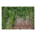 thumbnail image 3 of Surface Texture Wallpaper Wall Mural - Old Brick Wall With Ivy, 3 of 8