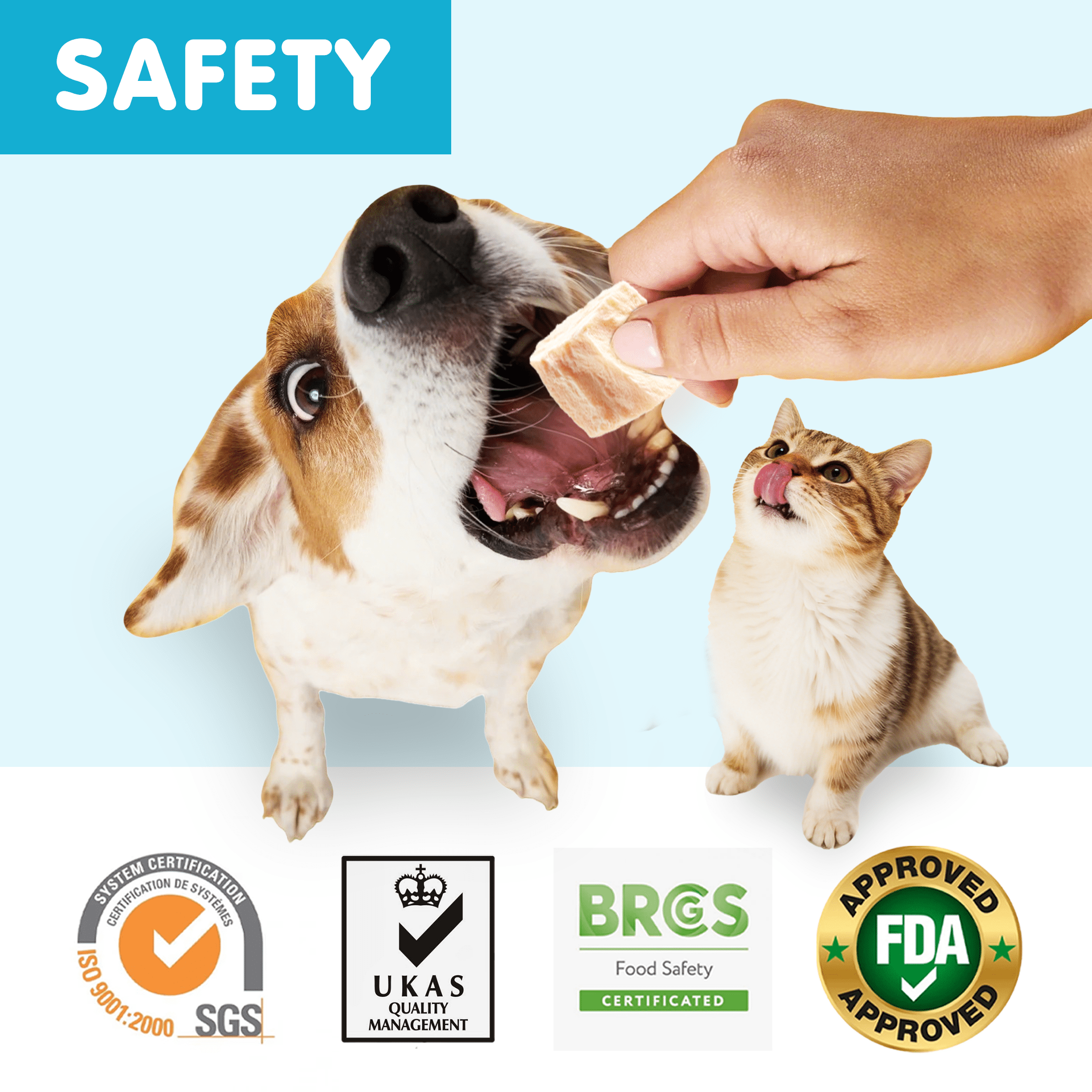 (2 pack) PAWUP Freeze Dried Chicken Slice Dog Treats for Small Medium Large Dogs, Single Ingredient, High Protein, Grain Free Training Snacks, 3.9oz