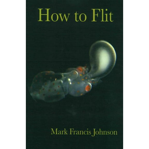 How to Flit (Paperback)