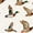 Color 1, variant on Peel and Stick Wallpaper Mallard Ducks Soft Pastel Colors Gold Accents Wall Mural 17.7in x 9.8ft Self Adhesive Removable Wall Paper Renter Friendly Wallpaper for Nursery Bedroom Cabinets