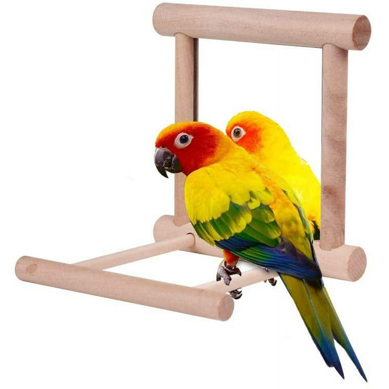 Parrot mirror toys online
