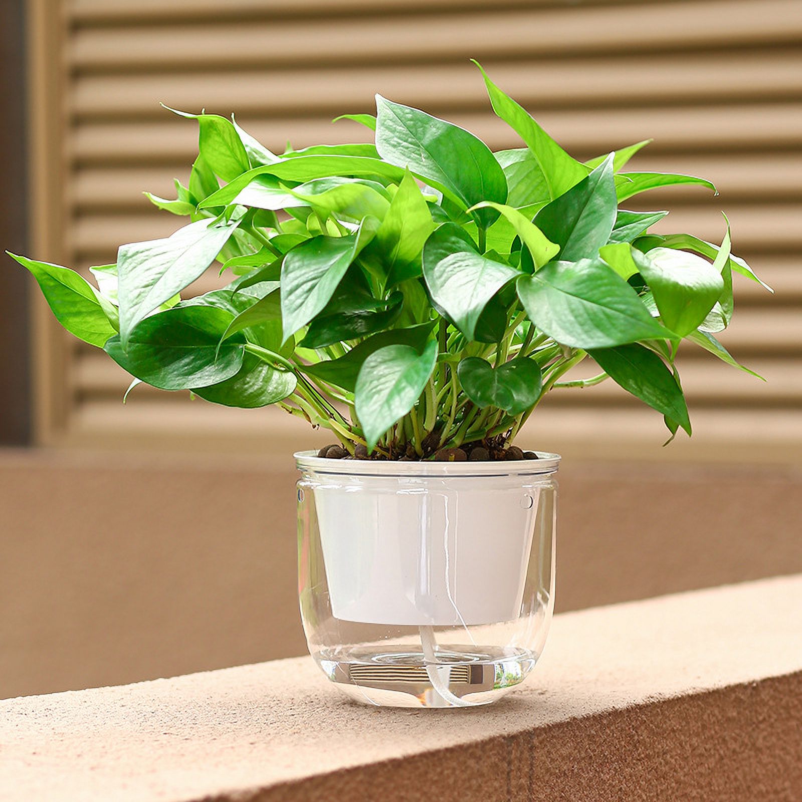 2 Pack Self Watering Hanging Planters Indoor Flower Pots, 6.5 Inch Outdoor Hanging Basket, Plant Hanger with Hooks Drainage Holes for Garden Home