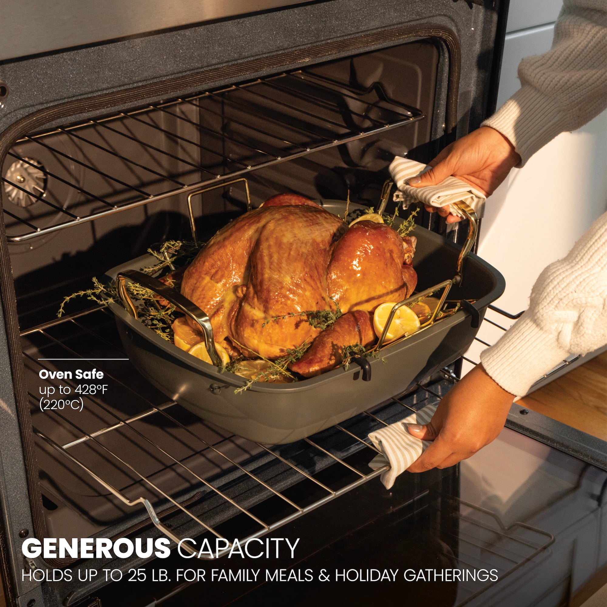 Thyme & Table Moss Green & Champagne 2-Piece Nonstick Roasting Pan and Rack Set