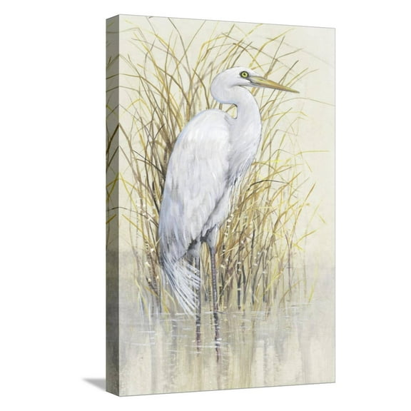 Art.com Wading I Stretched Canvas Print Wall Art by Tim O'toole, 12" x 18"