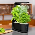 thumbnail image 1 of AeroGarden Sprout LED - Black, 1 of 4