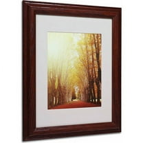 Trademark Fine Art "Fountains of Light" Canvas Art by Philippe Sainte-Laudy, Wood Frame