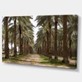 thumbnail image 2 of Date Palm Plantation Photography - Modern Forest Canvas Art, 2 of 4