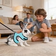 thumbnail image 6 of Rabbit Harness and Leash Set, Adjustable Mesh Bunny Walking Harness with Lead, Breathable Small Pet Harness for Rabbits 6.61 Lbs., 6 of 8