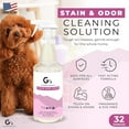 thumbnail image 2 of 32 oz Pet Urine Enzyme Cleaner – Pet Odor Eliminator for Home – Cat & Dog Pee Carpet Cleaner – Stain Remover for Rug, Floor, Furniture, Mattress, 2 of 4