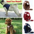 thumbnail image 3 of Conjunto de correa de arnés de perro pequeño de malla de aire transpirable Chaleco de cachorro de mascota para caminar perro Adepaton Correas y Collares para Perros, 3 of 5