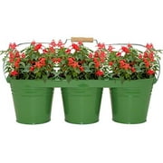 Houston International Trading 8333E SA Enameled Galvanized Triple Planter with Wood Handle for 6.5 in. Pots, Sage