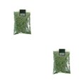 thumbnail image 3 of Justharion Accessoires de Scène pour Feuilles pour Micro Paysage Feuilles pour Modèle de Table de Sable Train Verdâtre 50ml 2Ensemble, 3 of 6
