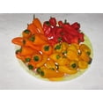 thumbnail image 1 of GSDWIUEW Graines de MINI Poivron Rouge, Jaune, ORANGE les Plus Sucrées (20 Graines) Fraise Sucrée, 1 of 1