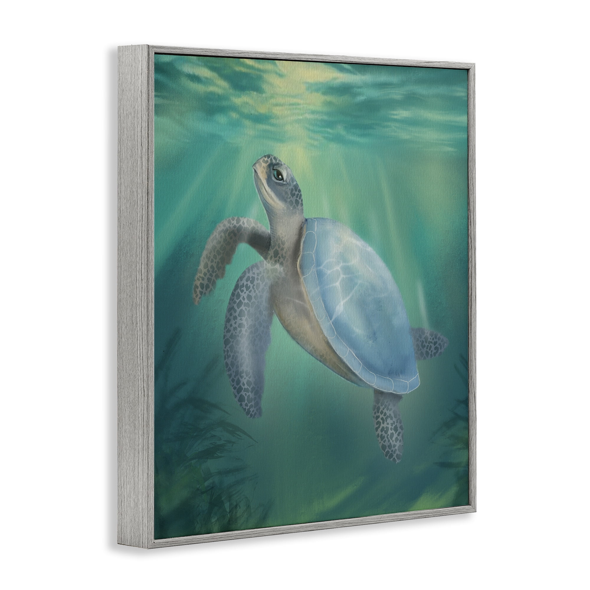 Stupell Industries Coastal Beach Sea Turtle Gray Framed Giclee Art, design by Matthew Piotrowicz