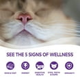 thumbnail image 5 of Wellness Complete Health Natural Grain Free Wet Canned Cat Food, Sliced Turkey & Salmon Entree, 5.5-Ounce Can (Pack of 24), 5 of 11