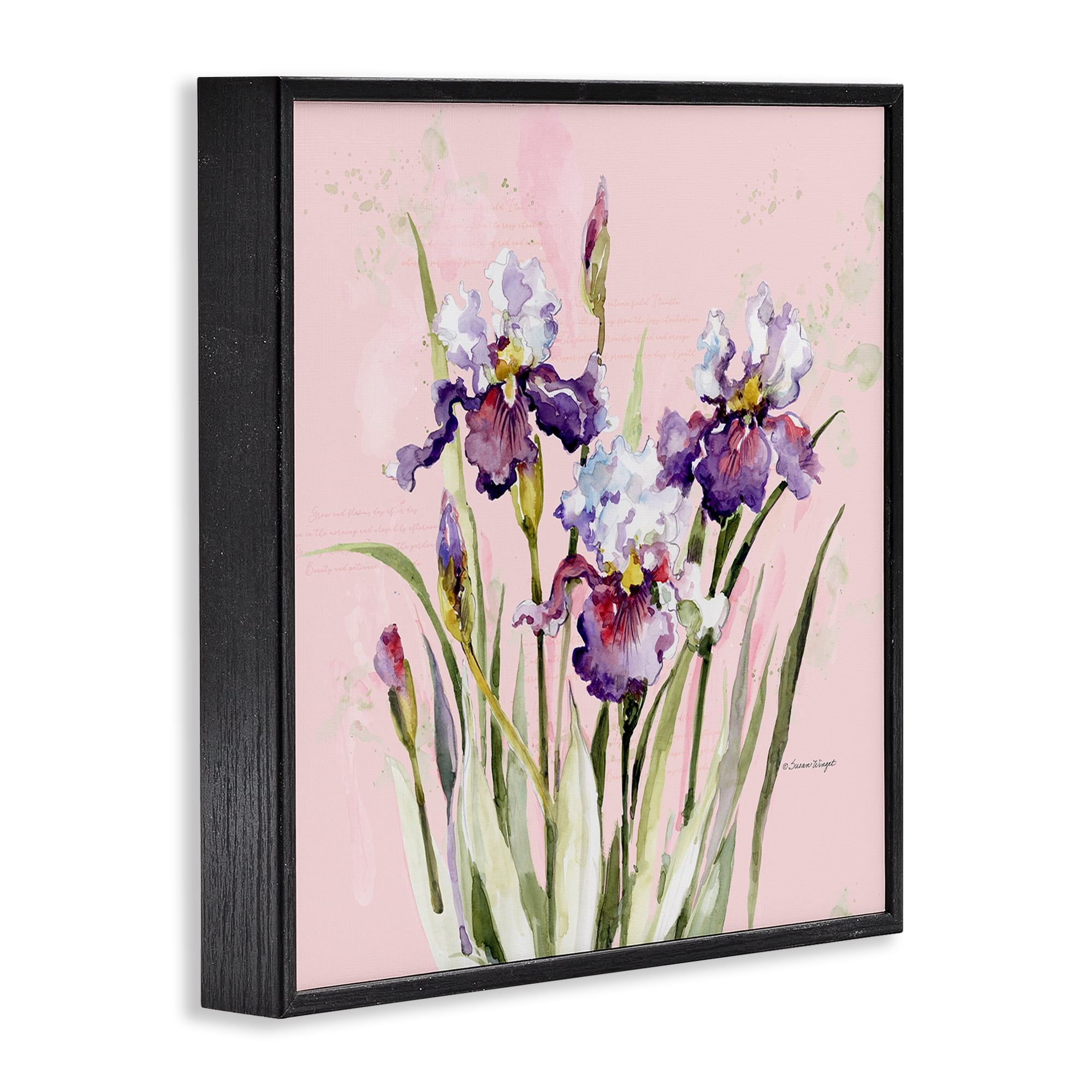 Stupell Industries Purple Irises on Pink Black Framed Giclee Art, design by Susan Winget