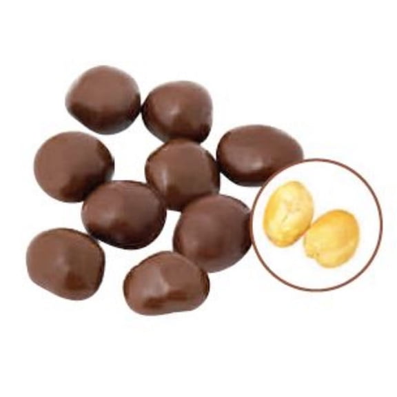 CHOCOLATE PEANUTS WITH NO SUGAR