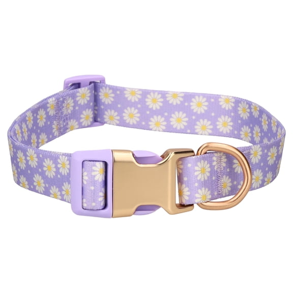 Vibrant Life Polyester Daisy Dreams Adjustable Fashion Dog Collar, Purple, S