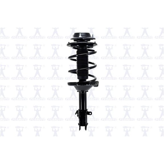 Suspension Strut and Coil Spring Assembly