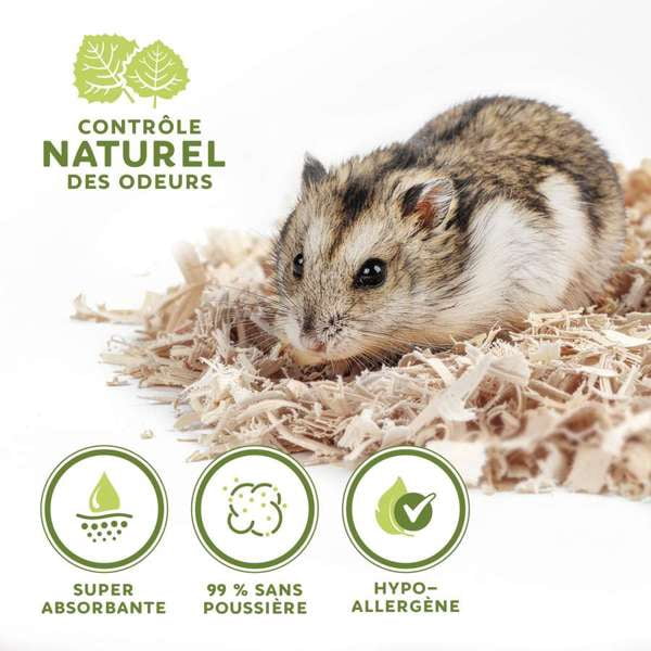 Living World Litière pour Petits Animaux & Litière, Copeaux de Tremble, 20 L