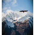 thumbnail image 3 of Ambesonne Nature Duvet Cover Sets, Mountain Flying Eagle, 2-King, Brown White Blue, 3 of 7