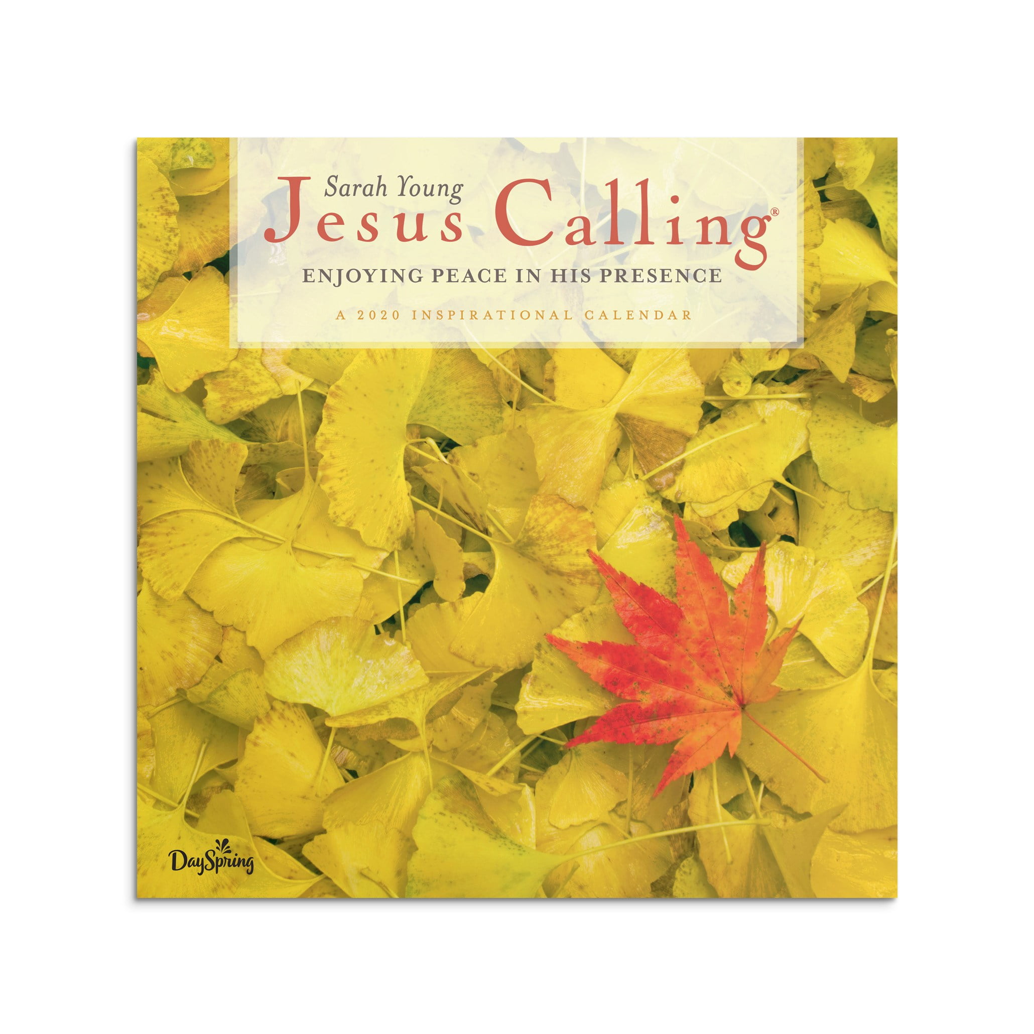 DaySpring - Sarah Young - Jesus Calling - 2020 Premium Wall Calendar