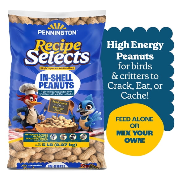Pennington Recipe Selects Peanuts in Shell for Birds, Wildlife and Wild Bird Food, 5 lb. Bag, Dry, 1 Pack