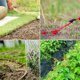 thumbnail image 3 of Estacas de jardín Carpa de fijación Estacas para el suelo Grapas de jardinería para fijar lona Acolchado Valla Barrera Contador Red Camping Césped artificial, 20 piezas, Verde, 15 cm, 3 of 5