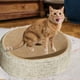 thumbnail image 4 of Tazón de salón de rasguños de gato, almohadilla de rasguño de gato de sisal, protector de muebles, rascador de gatos, cama de rasguño de gato para, 4 of 8
