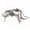 brown A, variant on Large Halloween Spider Decoration With Skull Design Black Velvet Outdoor Indoor Decor 1 Count