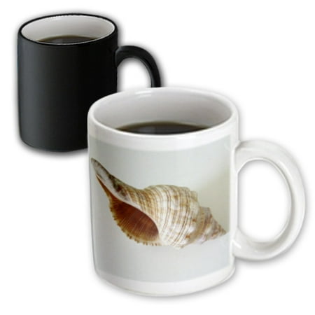 

3dRose Inside Conch Shell - Magic Transforming Mug 11-ounce