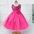thumbnail image 2 of CNKOO Robe Princesse en Dentelle Cinderella pour Petites Filles Robes de Bal de Concours Robes de Filles en Tulle Fleur, 2 of 5