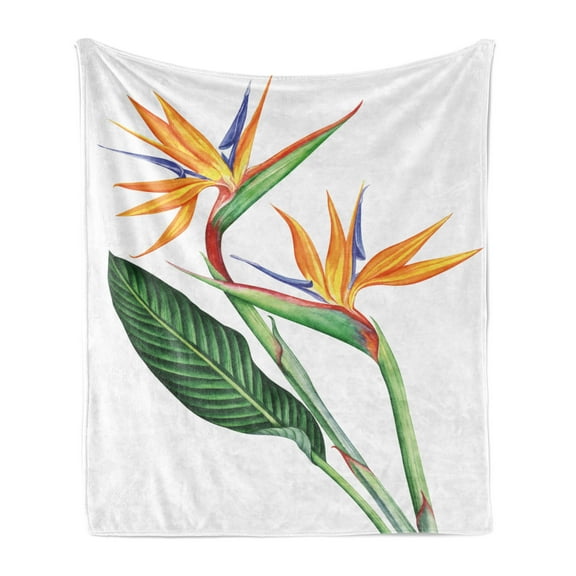 Hawaiian Colors Soft Flannel Fleece Throw Blanket, Tropical Painting of a Bird of Paradise Flower on Plain Background, Cozy Plush for Indoor and Outdoor Use, 70" x 90", White Multicolor, by Ambesonne