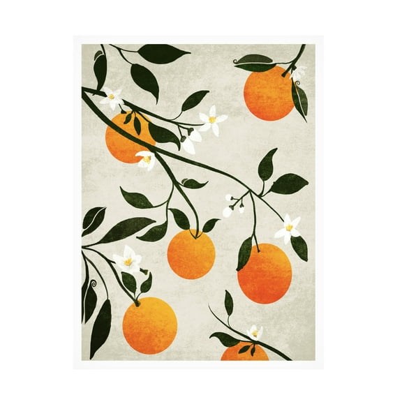 Trademark Fine Art Emel Tunaboylu Rectangle 14 Canvas Wall Art