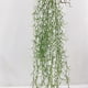 thumbnail image 5 of Simulation of hanging green vines and green grass false vines B, 5 of 5